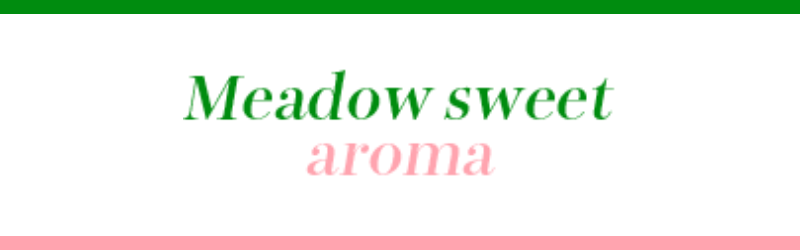 Meadow sweet aromaメドウスイートアロマ（青葉台のメンズエステ）